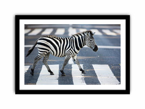 Framed Print