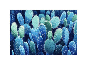 Cactus Whispers