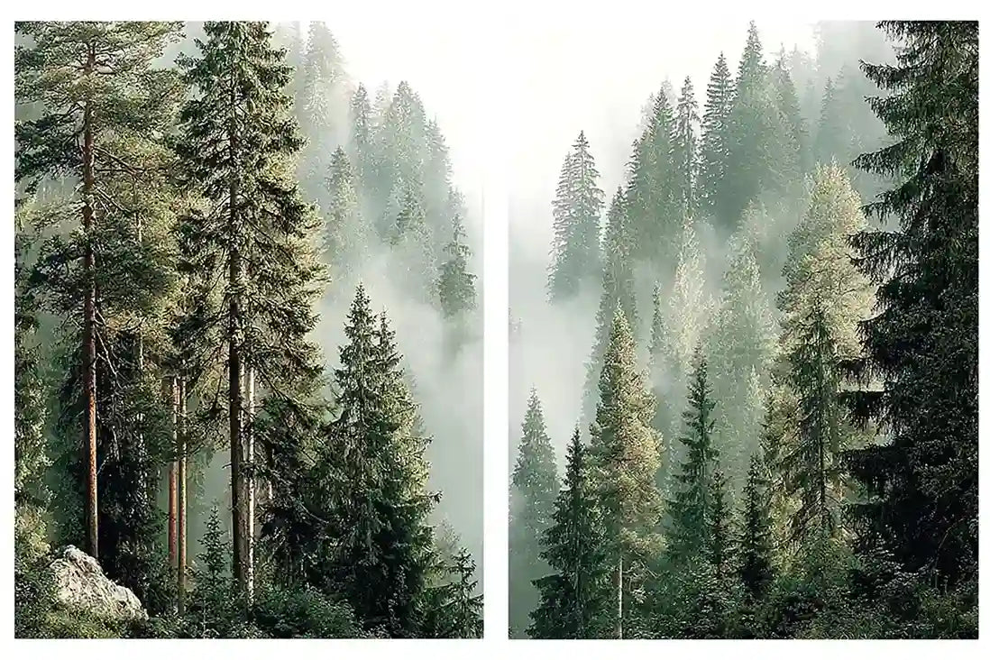 Misty Shoreline 2 Piece Art Set