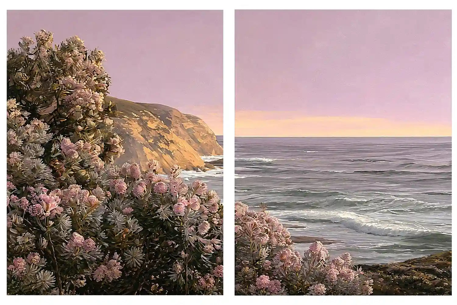 Blush Coastline 2 Piece Art Set