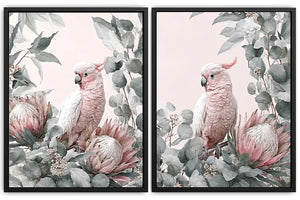 Rose Cockatoo Garden 2 Piece Art Set