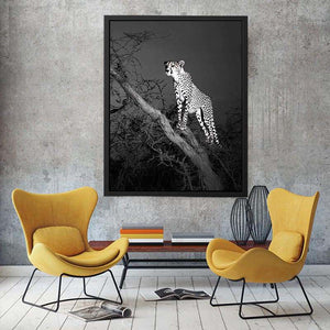 Black and white cheetah Canvas Print