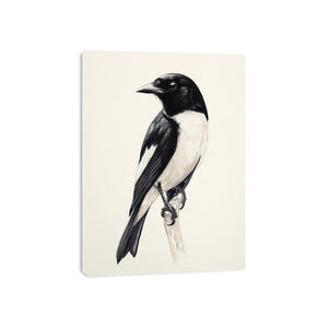 Minimal black and white songbird Canvas Print