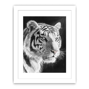 Black and white white tiger Canvas Print