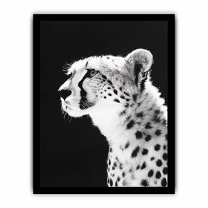 Black and white cheetah portrait Canvas Print