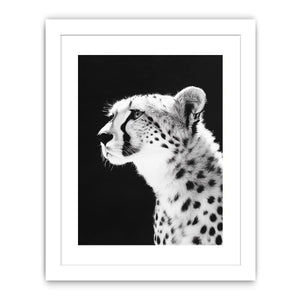 Black and white cheetah portrait Canvas Print