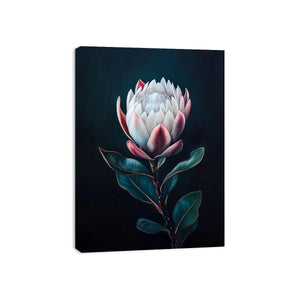 Moody protea flower Canvas Print with dark background