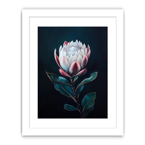 Moody protea flower Canvas Print with dark background