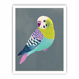 Colorful budgie bird illustration Canvas Print