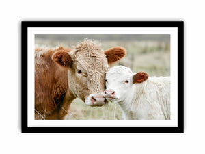 Framed Print
