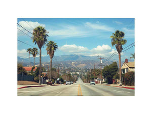 Palm tree boulevard