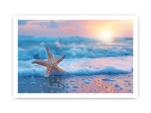 Starfish beach