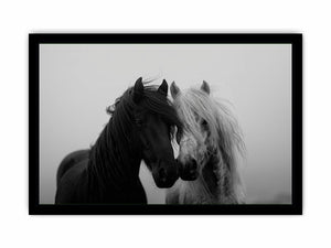 Black and white horse portrait artwork