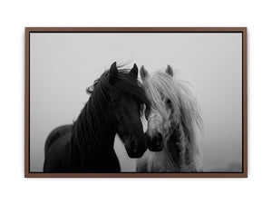 Black and white horse portrait artwork