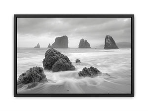 Black and white coastal landscape