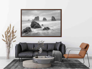 Black and white coastal landscape