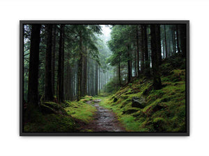 Misty forest path canvas