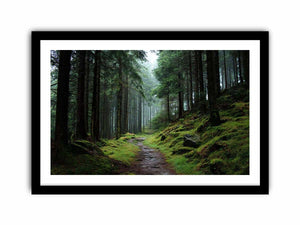 Misty forest path canvas