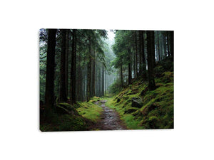 Misty forest path canvas