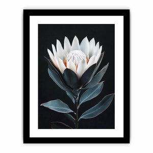 White protea flower artwork with minimalist botanical style