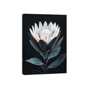 White protea flower artwork with minimalist botanical style