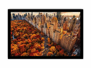 new york city skyline with central park autumn colors aerial view Canvas Print