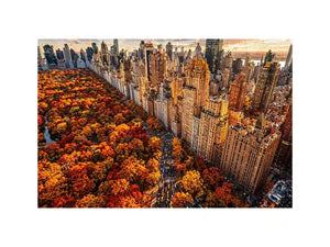 new york city skyline with central park autumn colors aerial view Canvas Print