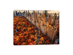 new york city skyline with central park autumn colors aerial view Canvas Print