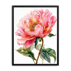 Soft pink peony watercolor botanical illustration with green leaves minimal floral wall art