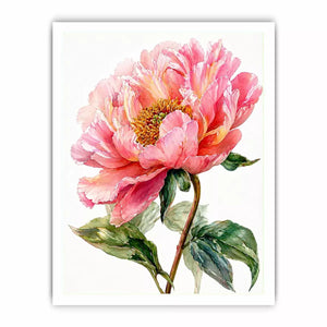 Soft pink peony watercolor botanical illustration with green leaves minimal floral Canvas Print