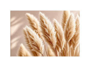 Soft beige pampas grass Canvas Print airy minimal botanical neutral decor