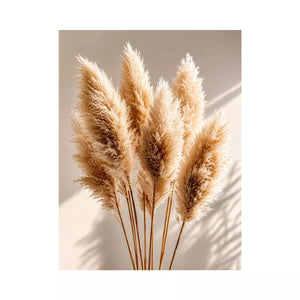 pampas grass Canvas Print neutral, boho pampas grass canvas, minimalist beige botanical artwork, soft neutral decor Canvas Print