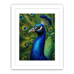 Vibrant peacock Canvas Print with detailed blue and gold feathers