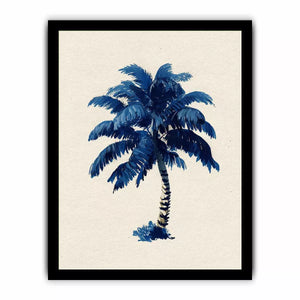 Indigo Plam Tree