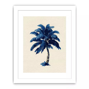 Indigo Plam Tree