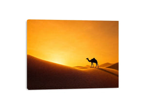 desert camel silhouette sunset sand dunes golden light minimalist Canvas Print canvas decor