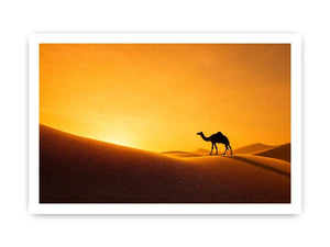 desert camel silhouette sunset sand dunes golden light minimalist Canvas Print canvas decor