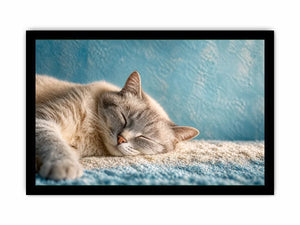 sleeping cat soft pastel cozy pet Canvas Print calm home decor canvas