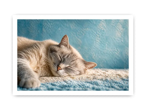 sleeping cat soft pastel cozy pet Canvas Print calm home decor canvas