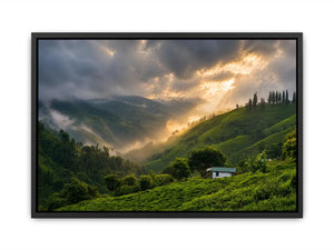 misty green hills landscape fog valley nature Canvas Print peaceful countryside canvas