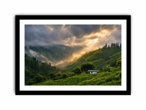 misty green hills landscape fog valley nature Canvas Print peaceful countryside canvas