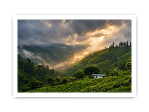 misty green hills landscape fog valley nature Canvas Print peaceful countryside canvas