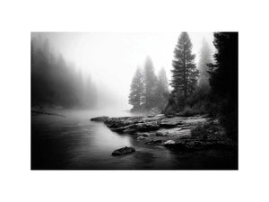 Silent Mist Waters black and white misty forest lake wall art with pine trees and foggy waters minimalist nature landscape ca