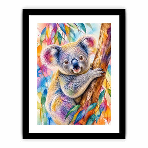 rainbow eucalyptus dream ont621