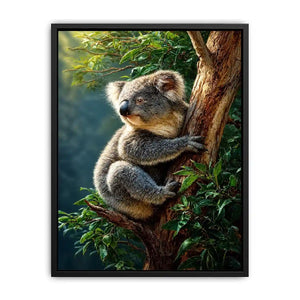 forest haven koala ont624
