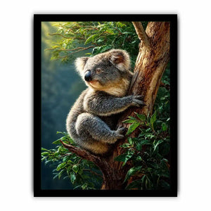 forest haven koala ont624