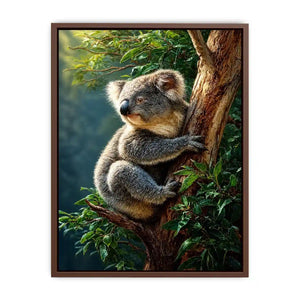 forest haven koala ont624