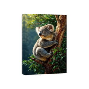 forest haven koala ont624