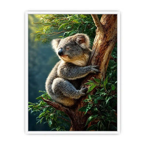 forest haven koala ont624