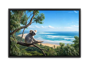 coastal dream koala ont625